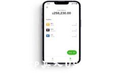  如何通过TP买入USDT：新手