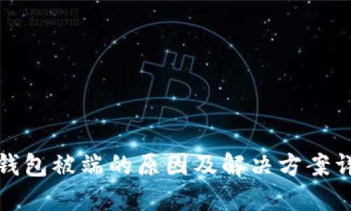 TP钱包被端的原因及解决方案详解