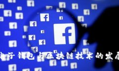 国内电子钱包与区块链技