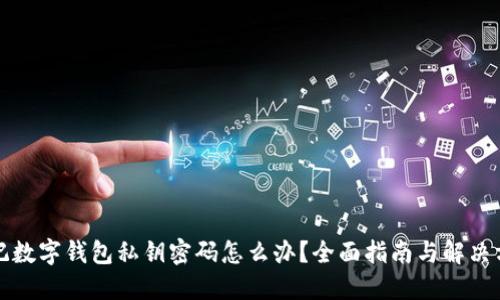 忘记数字钱包私钥密码怎么办？全面指南与解决方案