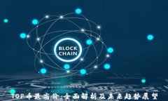 TOP币最高价：全面解析及