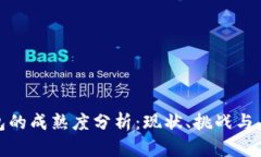 数字钱包的成熟度分析：