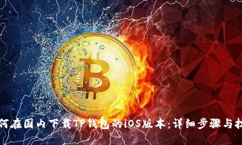 如何在国内下载TP钱包的iOS版本：详细步骤与技巧