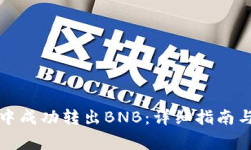 如何在TP钱包中成功转出BNB：详细指南与常见问题解答