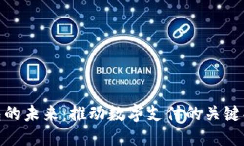 : 数字钱包的未来：推动数字支付的关键措施与策略