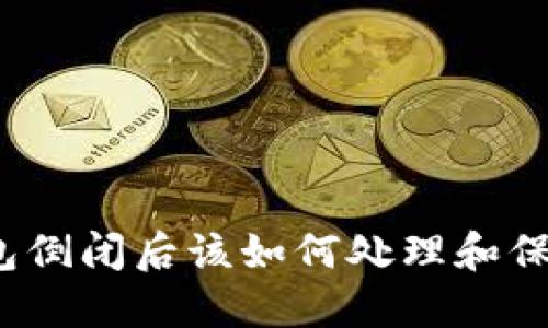 加密钱包倒闭后该如何处理和保护资产？