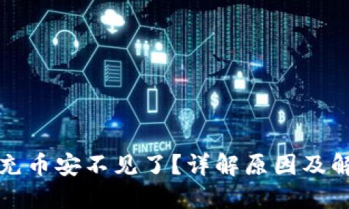 TP钱包充币安不见了？详解原因及解决方法