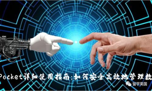 TokenPocket详细使用指南：如何安全高效地管理数字资产