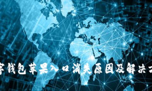 数字钱包苹果入口消失原因及解决方案