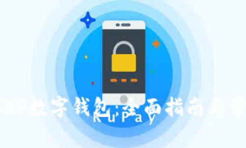 如何使用DCEP数字钱包：全面指南与常见问题解答