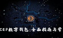 如何使用DCEP数字钱包：全面指南与常见问题解答