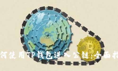 如何使用TP钱包进入公链：全面指南