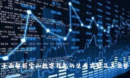 全面解析宝山数字钱包的使用商家及其优势