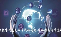如何解决数字钱包充不了钱的问题：全面指南与