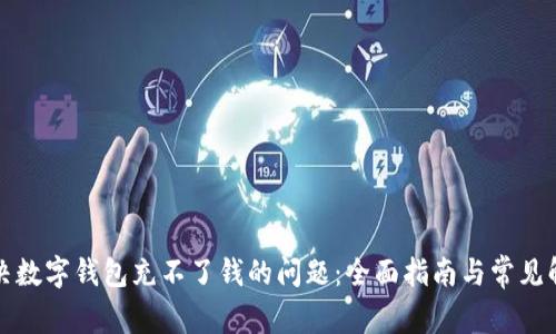 如何解决数字钱包充不了钱的问题：全面指南与常见解决方案