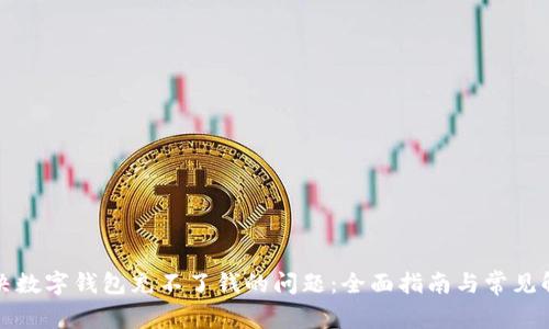 如何解决数字钱包充不了钱的问题：全面指南与常见解决方案