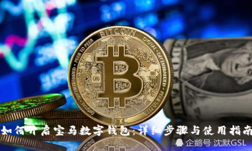 如何开启宝马数字钱包：详细步骤与使用指南