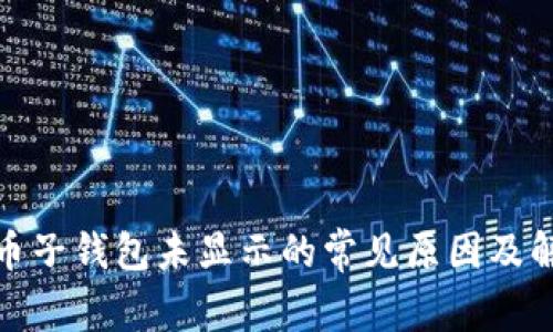 数字硬币子钱包未显示的常见原因及解决方案