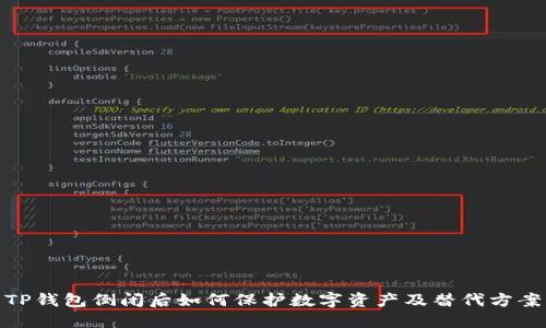 TP钱包倒闭后如何保护数字资产及替代方案
