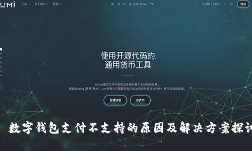 : 数字钱包支付不支持的原因及解决方案探讨