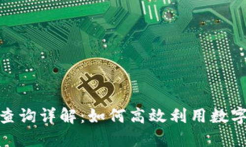 建行数字钱包征信查询详解：如何高效利用数字钱包管理个人征信