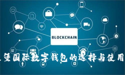 卢森堡国际数字钱包的选择与使用指南