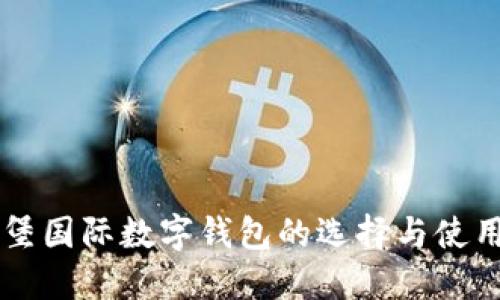 卢森堡国际数字钱包的选择与使用指南
