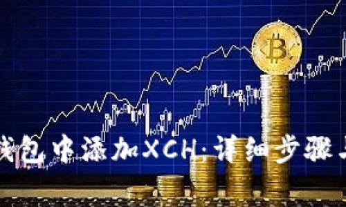 如何在TP钱包中添加XCH：详细步骤与注意事项