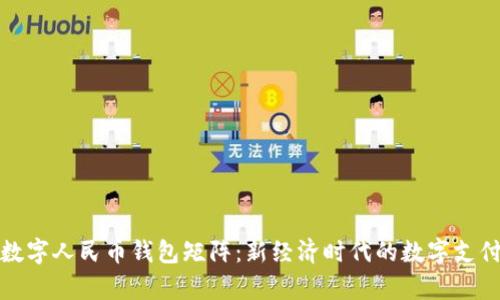 全面解析数字人民币钱包矩阵：新经济时代的数字支付解决方案
