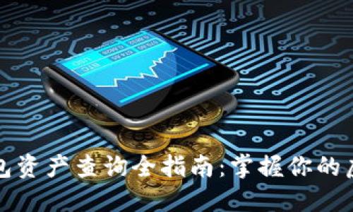 数字钱包资产查询全指南：掌握你的虚拟财产