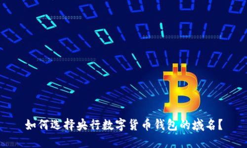 如何选择央行数字货币钱包的域名？