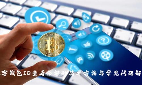 数字钱包ID查看余额的简单方法与常见问题解答