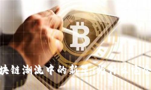TP钱包：区块链潮流中的新星，为什么它会迅速走红？