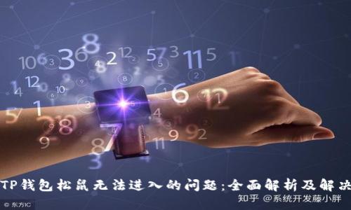 解决TP钱包松鼠无法进入的问题：全面解析及解决方案