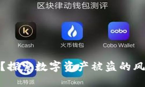 TP钱包安全吗？探索数字资产被盗的风险与防护措施