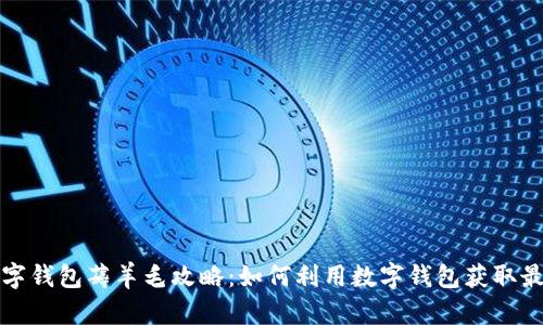 无锡数字钱包薅羊毛攻略：如何利用数字钱包获取最大优惠