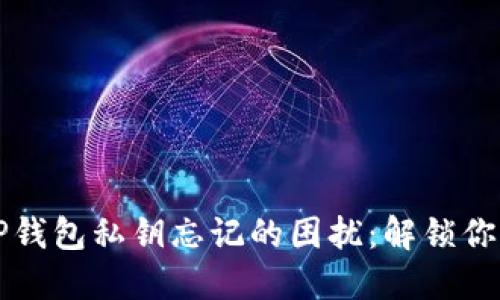 如何应对TP钱包私钥忘记的困扰：解锁你的数字资产
