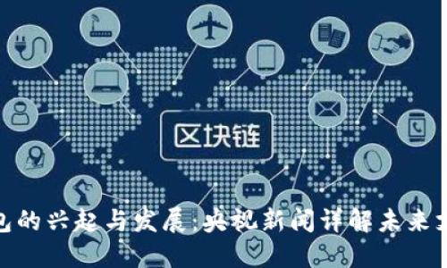 数字钱包的兴起与发展：央视新闻详解未来支付趋势