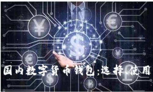 全面解析国内数字货币钱包：选择、使用与安全性