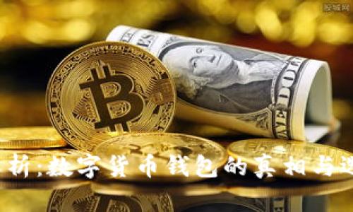  深入解析：数字货币钱包的真相与选择指南