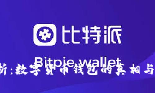  深入解析：数字货币钱包的真相与选择指南