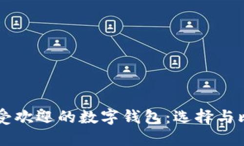韩国最受欢迎的数字钱包：选择与比较指南