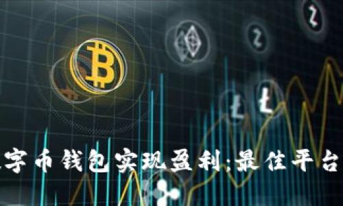 如何通过数字币钱包实现盈利：最佳平台与实用技巧