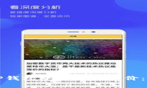 如何在TP钱包中查看买入价：完整指南