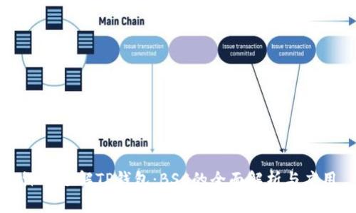 深入了解TP钱包：BSC的全面解析与应用