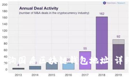如何查询国盾区块链钱包地址：详细指南
