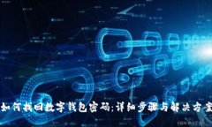 如何找回数字钱包密码：详细步骤与解决方案