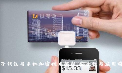 电子钱包与手机加密技术解析：安全性与应用前景