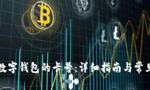 如何查看数字钱包的卡号：详细指南与常见问题解答