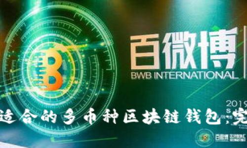 选择最适合的多币种区块链钱包：完整指南